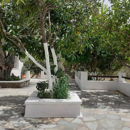 Villa Tillia Panormos  Екстер'єр фото
