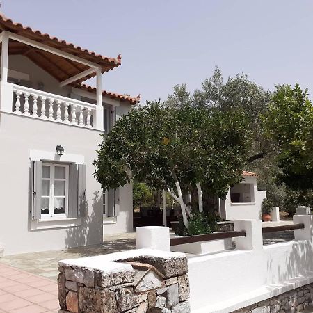 Villa Tillia Panormos  Екстер'єр фото