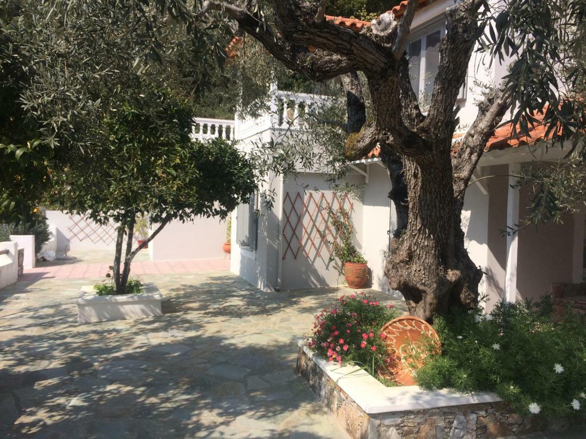 Villa Tillia Panormos  Екстер'єр фото