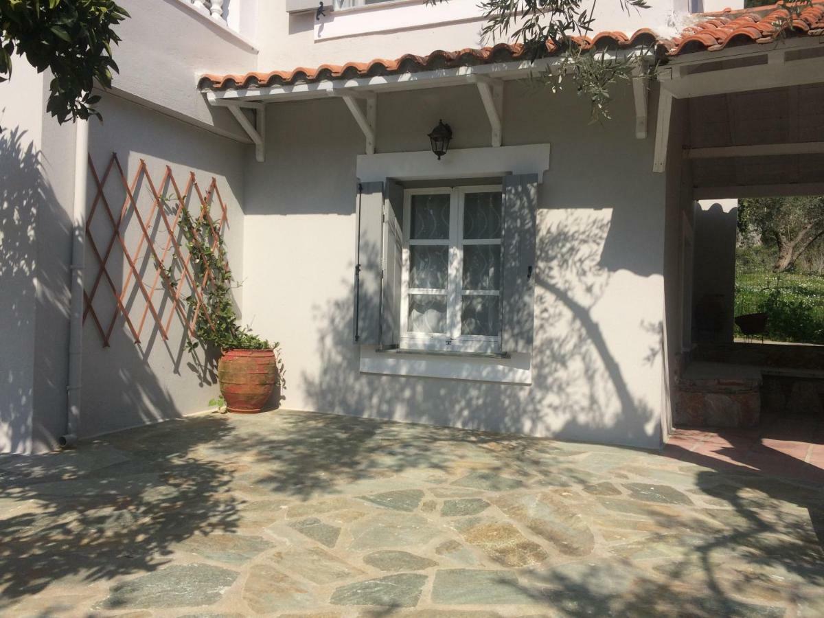 Villa Tillia Panormos  Екстер'єр фото